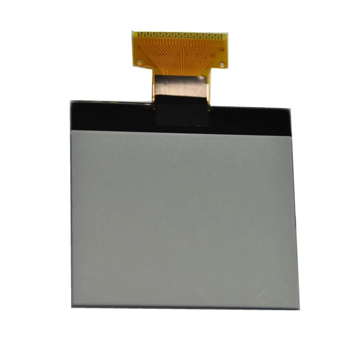 12864 COG LCD Display
